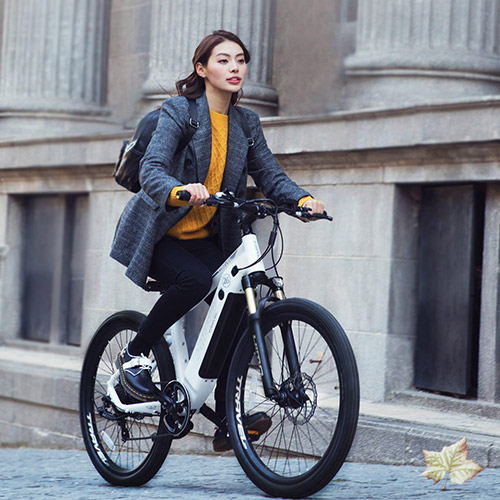 HIMO C26 Electric Bike Gray