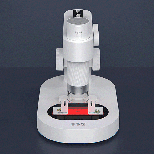 Racoon Intelligent Electronic Microscope (DDL-M1)