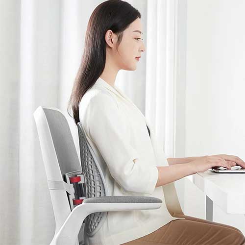 Leband Adjustable Ergonomic Back Pad