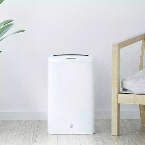 Lexiu Dehumidifier WS1
