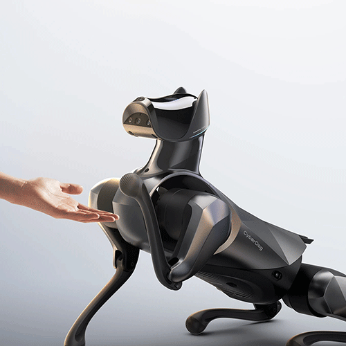 Xiaomi CyberDog 2