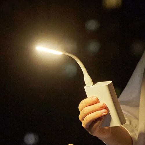 ZMI Portable USB LED Light