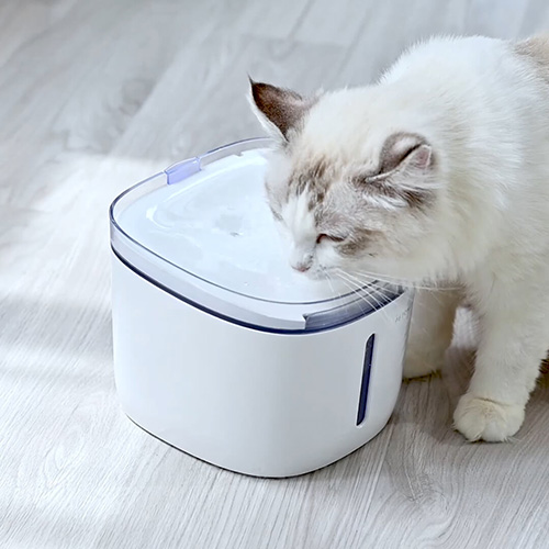 Petoneer smart pet water dispenser