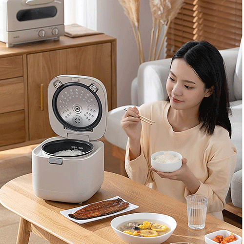 HimeJi Mini Multi-function Rice Cooker