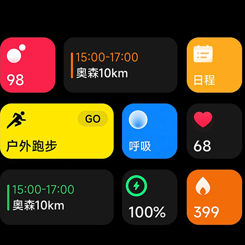 Mi Band 8 Pro Gray