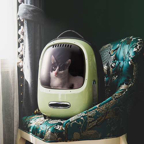 PETKIT cat backpack Carrier Green