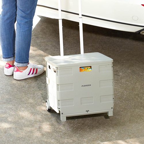Xiaomi MAIWEI Trolley Case 35L Gray