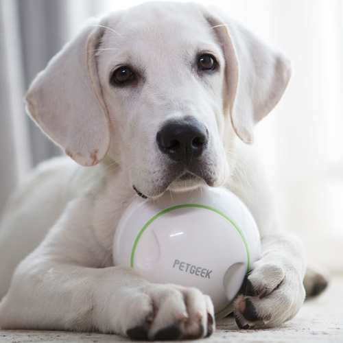 Xiaomi PETGEEK Ball Treat Dispenser