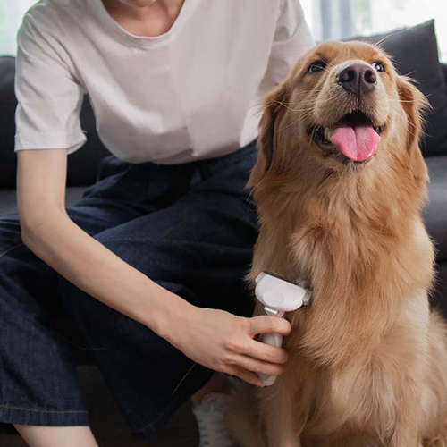 Xiaomi Pawbby MG-PCO001 Pet Hair Brush