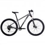 Qicycle XC650 Mountain Bike Gray