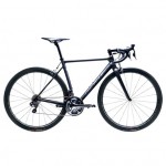 QiCycle R1 Black