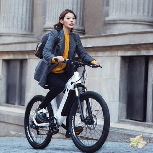 HIMO C26 Electric Bike Gray