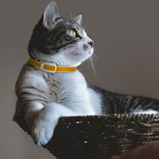 Xiaomi Ohh! Essential Oil Collar 60 cm Green