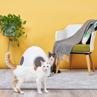 Moestar spaceship smart pet nest