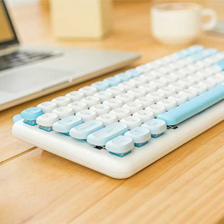 Xiaomi IQUNIX Cat M80 Ragdoll Blue