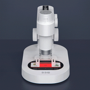 Racoon Intelligent Electronic Microscope (DDL-M1)