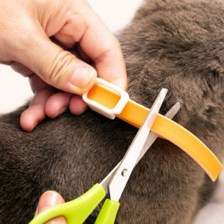 Xiaomi Ohh! Essential Oil Collar 60 cm Green
