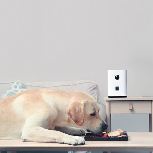 Pawbby Smart Pet Snack Machine