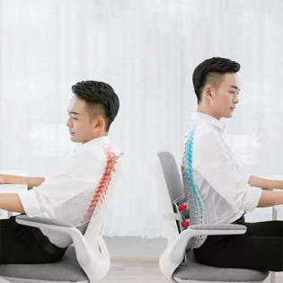 Leband Adjustable Ergonomic Back Pad