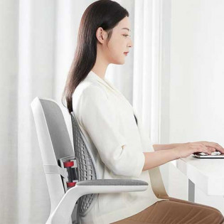 Leband Adjustable Ergonomic Back Pad