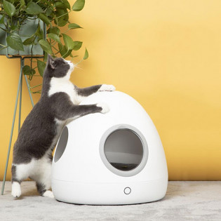 Moestar spaceship smart pet nest