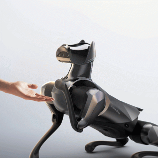 Xiaomi CyberDog 2