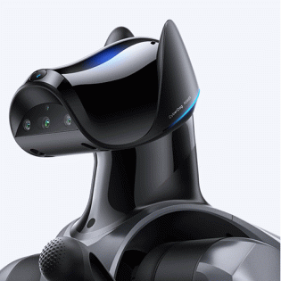 Xiaomi CyberDog 2