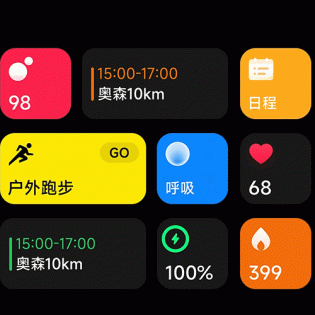 Mi Band 8 Pro Gray