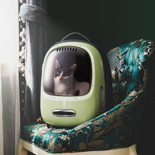 PETKIT cat backpack Carrier Green