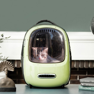PETKIT cat backpack Carrier Green