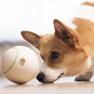 Xiaomi PETGEEK Ball Treat Dispenser
