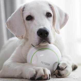 Xiaomi PETGEEK Ball Treat Dispenser