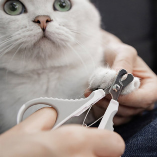 Xiaomi Pawbby Cat Pet Nail Clippers MG-PNC001 White