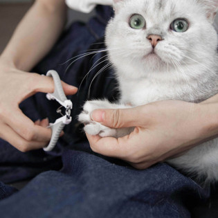 Xiaomi Pawbby Cat Pet Nail Clippers MG-PNC001 White
