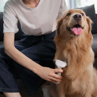 Xiaomi Pawbby MG-PCO001 Pet Hair Brush