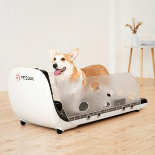 Xiaomi YESOUL Smart Pet Treadmill Q1