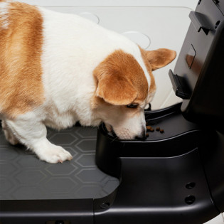 Xiaomi YESOUL Smart Pet Treadmill Q1