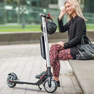 Ninebot by Segway Electric KickScooter ES2 Silver