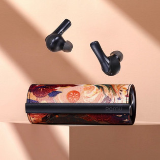 Xiaomi PaMu Unique Bluetooth Earphones