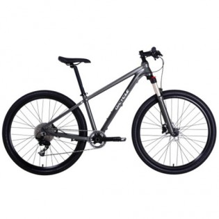 Qicycle XC650 Mountain Bike Gray