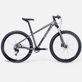Qicycle XC650 Mountain Bike Gray