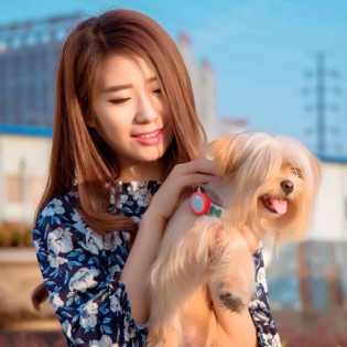 Xiaomi Smart Dog Button Tag Green