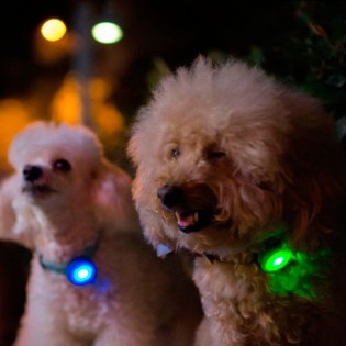 Xiaomi Smart Dog Button Tag Green