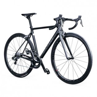 QiCycle R1 Black