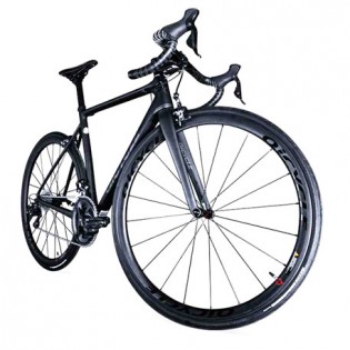 QiCycle R1 Black