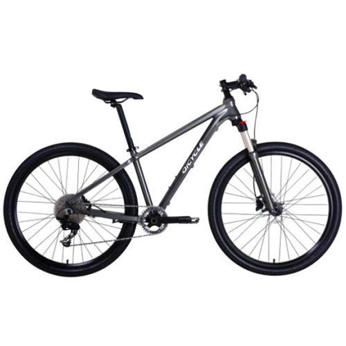 Qicycle XC650 Mountain Bike Gray