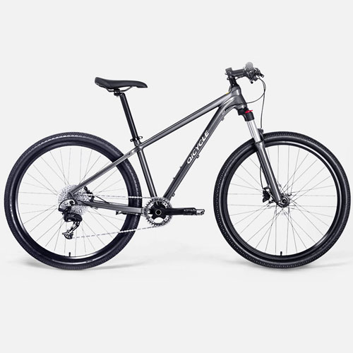 Qicycle XC650 Mountain Bike Gray