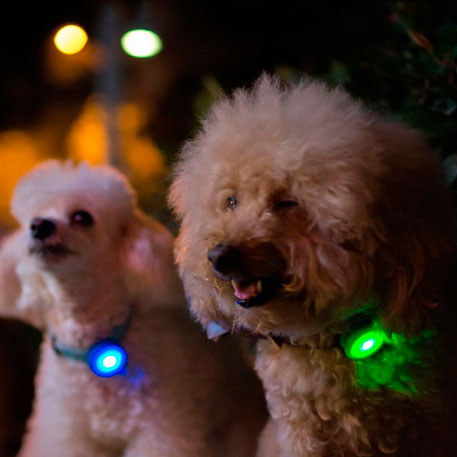 Xiaomi Smart Dog Button Tag Green