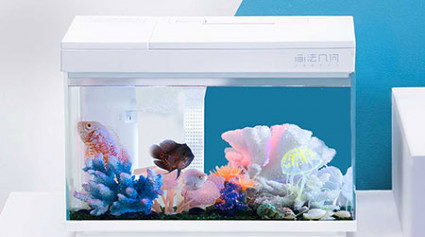 Smart Fish Tank at MiOT Crowdfunding Platform